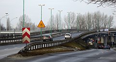 141_TZ60_P1070778_cr