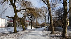 148_TZ60_P1070785_cr