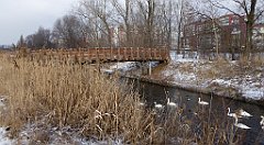 223_TZ60_P1070861_cr