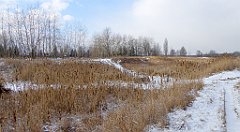 224_TZ60_P1070862_cr