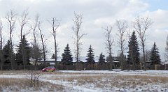 234_TZ60_P1070872_cr