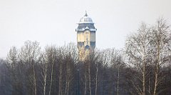 244_TZ60_P1070889_cr