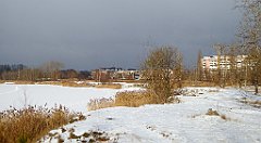 250_TZ60_P1070895_cr