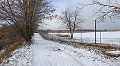 271_TZ60_P1070904_cr