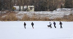 285_TZ60_P1070931_cr