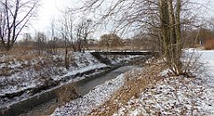 289_TZ60_P1070935_cr