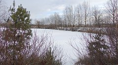 304_TZ60_P1070950_cr