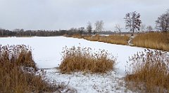 308_TZ60_P1070954_cr