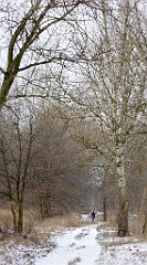 312_TZ60_P1070956_cr