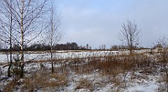 359_TZ60_P1080009_cr