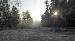 0032_TZ60_P1080349_cr