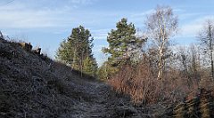 0090_TZ60_P1080372_cr