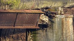 0097_TZ60_P1080377_cr