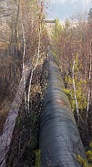 0104_TZ60_P1080382_cr