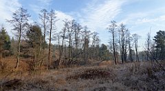 0111_TZ60_P1080389_cr