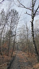 0155_TZ60_P1080427_cr