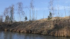 0204_TZ60_P1080466_cr