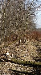 0231_TZ60_P1080480_cr