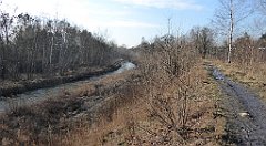 0290_TZ60_P1080532_cr