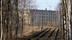 0314_TZ60_P1080554_cr