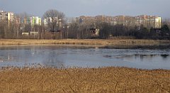 0403_TZ60_P1080648_cr