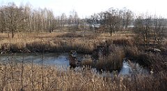 0442_TZ60_P1080669_cr