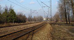 0445_TZ60_P1080672_cr