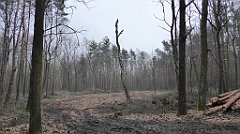 038_TZ60_P1080798_cr