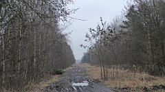 041_TZ60_P1080802_cr