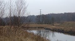 079_TZ60_P1080840_cr