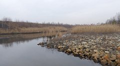 151_TZ60_P1080889_cr