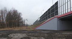 201_TZ60_P1080900_cr