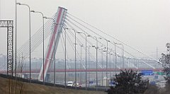 215_TZ60_P1080909_cr