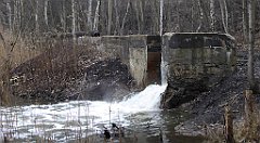 275_TZ60_P1080938_cr