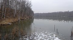 281_TZ60_P1080941_cr