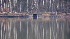 283_TZ60_P1080943_cr