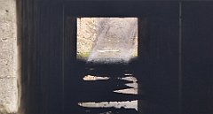 316_TZ60_P1080954_cr