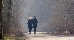 338_TZ60_P1080965_cr