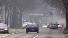 483_TZ60_P1090045_cr