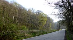 040_TZ60_P1090785_cr