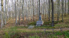 067_TZ60_P1090804_cr