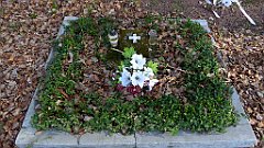 077_TZ60_P1090813_cr