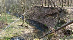 166_TZ60_P1090873_cr