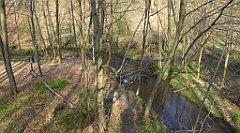 168_TZ60_P1090875_cr