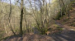 181_TZ60_P1090883_cr