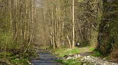 197_TZ60_P1090897_cr