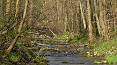 199_TZ60_P1090899_cr