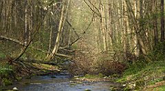 205_TZ60_P1090905_cr