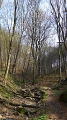 216_TZ60_P1090916_cr