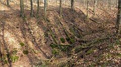 223_TZ60_P1090923_cr